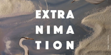 ExtrAnimation, festival du film d'animation, Nantes, 12, 13 et 14 décembre 2022