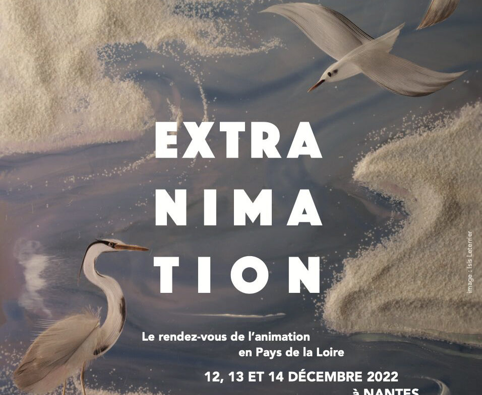 ExtrAnimation, festival du film d'animation, Nantes, 12, 13 et 14 décembre 2022